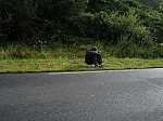 DSC08628.JPG
