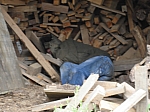 DSC08639.JPG
