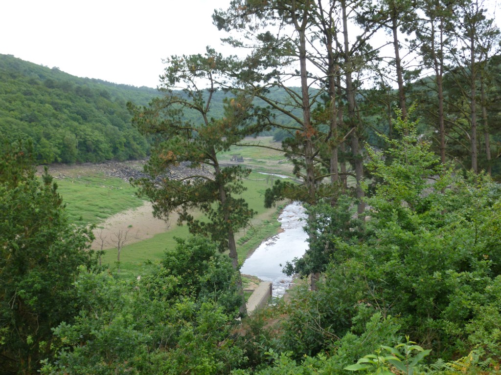 P1000850.jpg