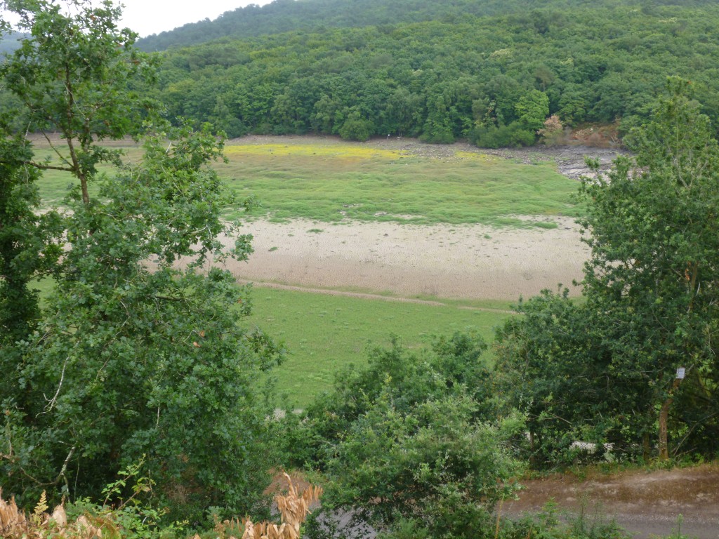 P1000851.jpg