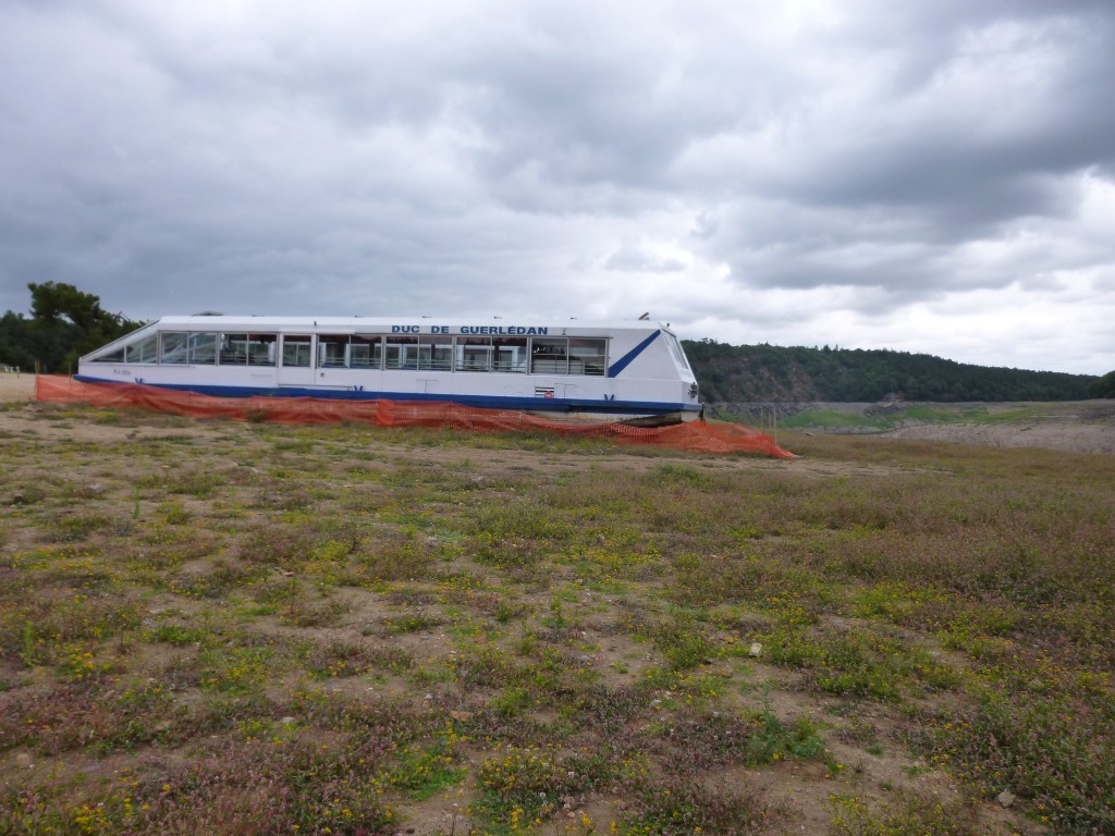 P1000856.jpg