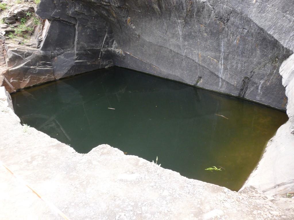 P1000867.jpg
