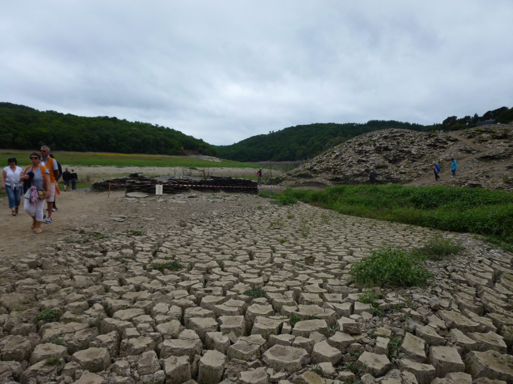 P1000871.jpg