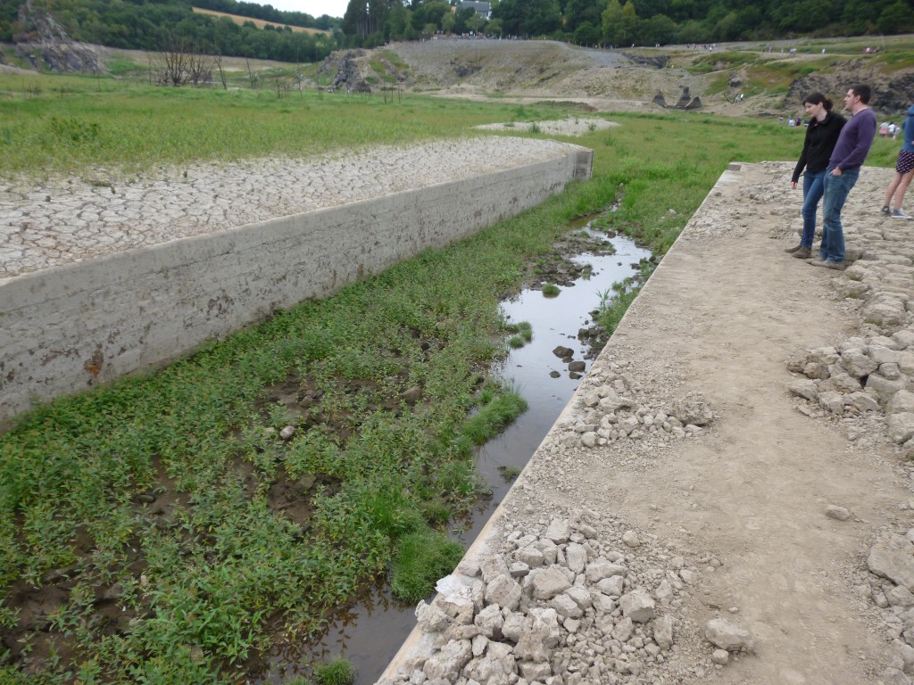 P1000877.jpg