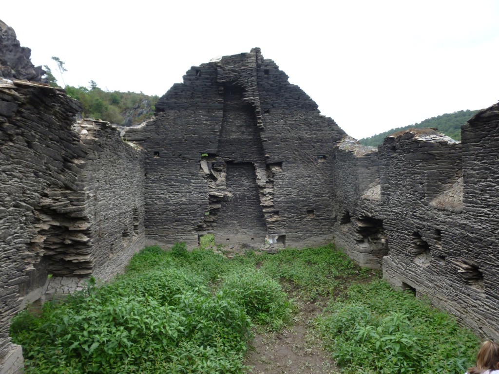 P1000880.jpg