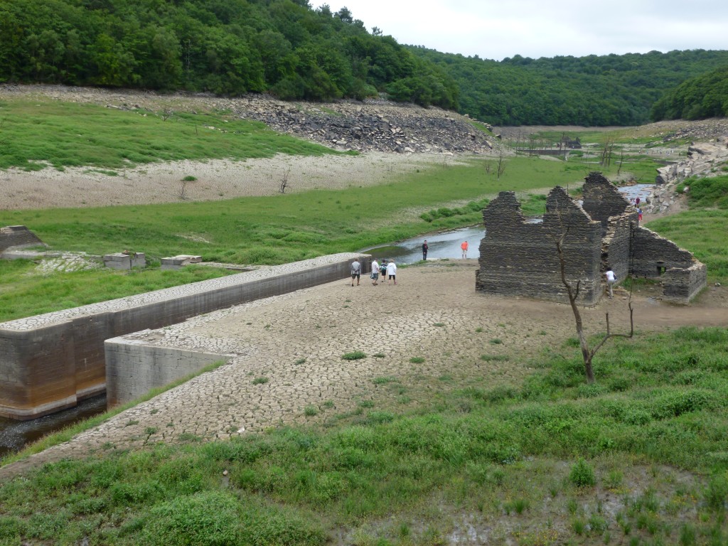 P1000885.jpg