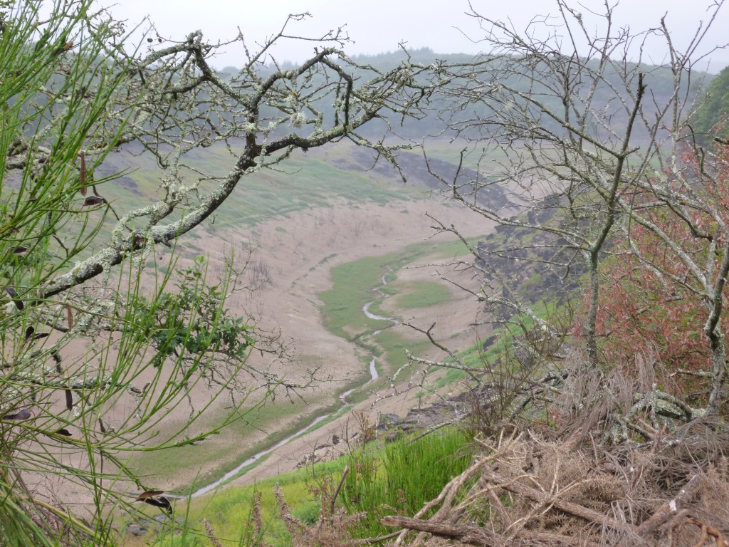 P1000890.jpg