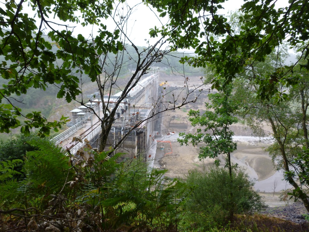 P1000898.jpg