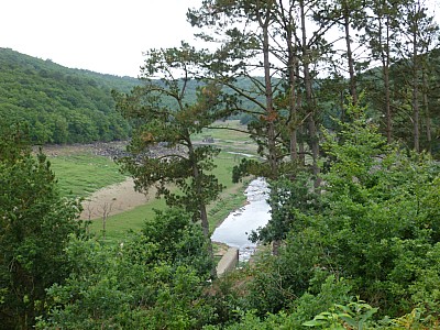 P1000850.jpg