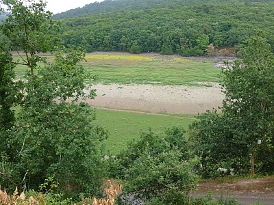 P1000851.jpg