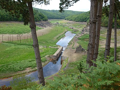 P1000853.jpg