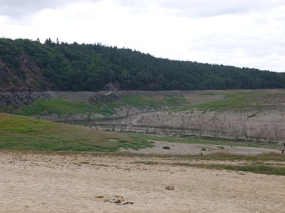 P1000859.jpg