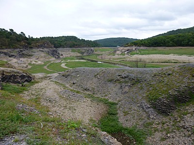 P1000863.jpg