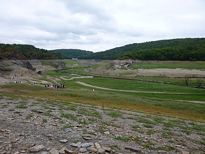 P1000864.jpg