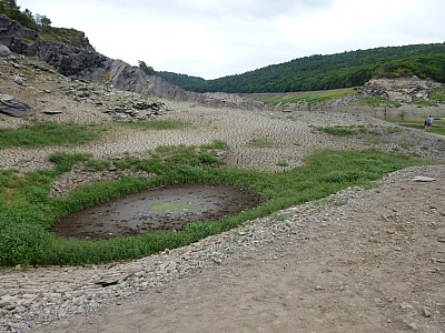 P1000865.jpg