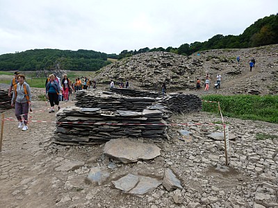 P1000866.jpg
