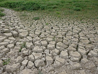 P1000868.jpg