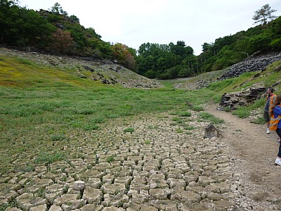 P1000869.jpg