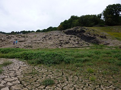 P1000870.jpg