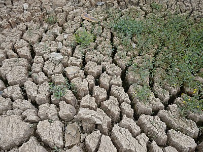 P1000875.jpg