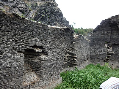 P1000879.jpg