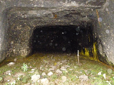 P1000881.jpg