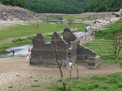 P1000884.jpg