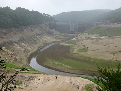 P1000888.jpg