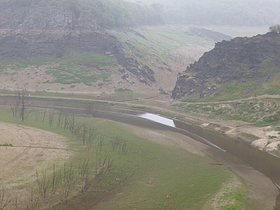 P1000894.jpg