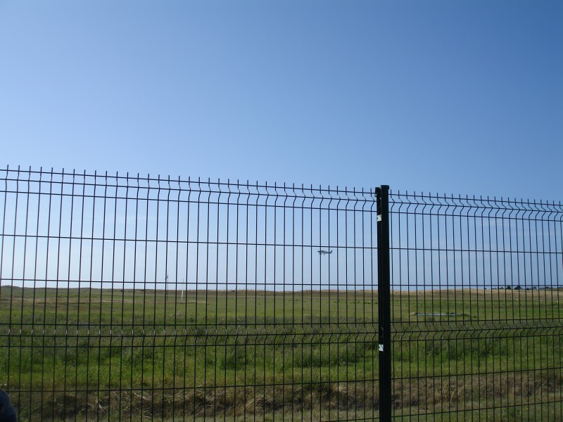 Para_307.jpg